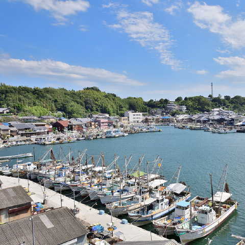 「室津の街並み」の外観