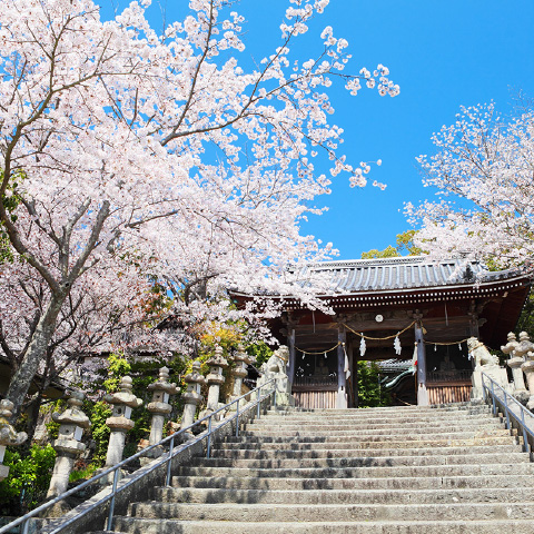 「大避神社」の外観