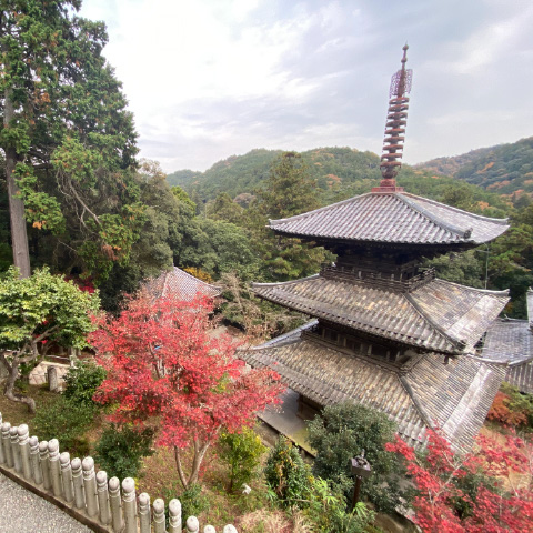 「法華山 一乗寺」の外観
