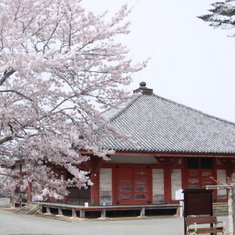 「浄土寺」の外観