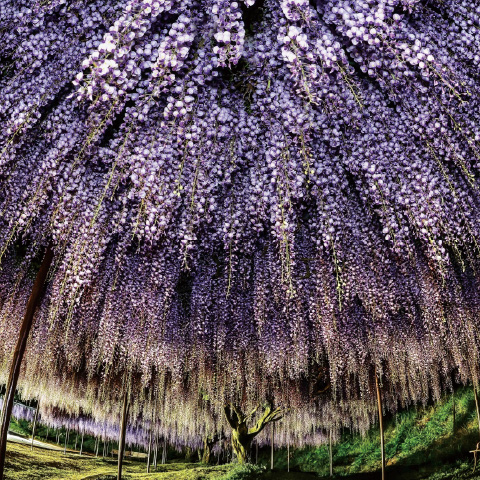 「白毫寺」の外観
