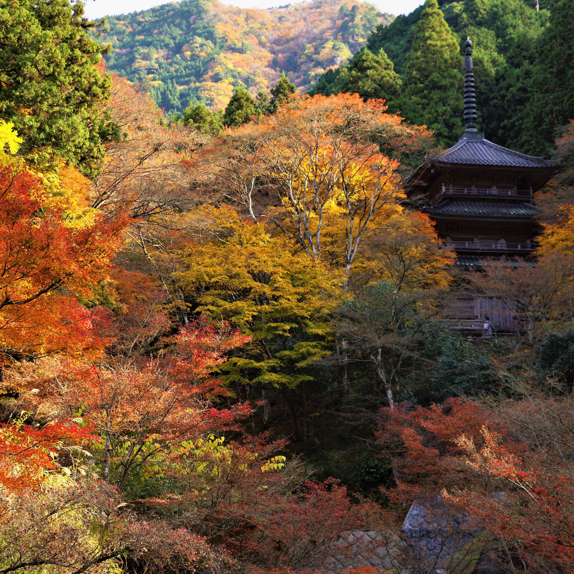 「高源寺」の外観