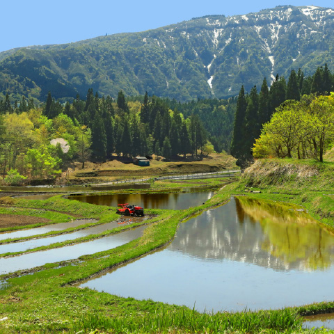 「別宮の棚田」の外観