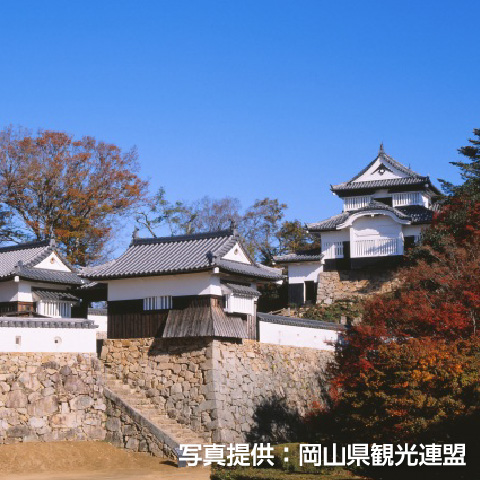 「備中松山城」の外観