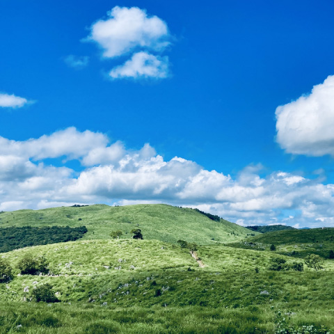 「秋芳洞・秋吉台」の外観