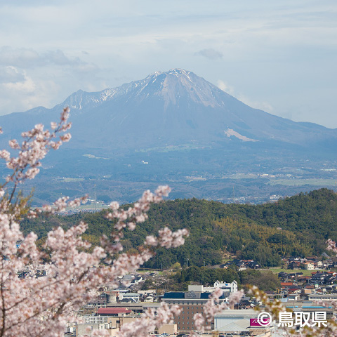 「大山」の外観