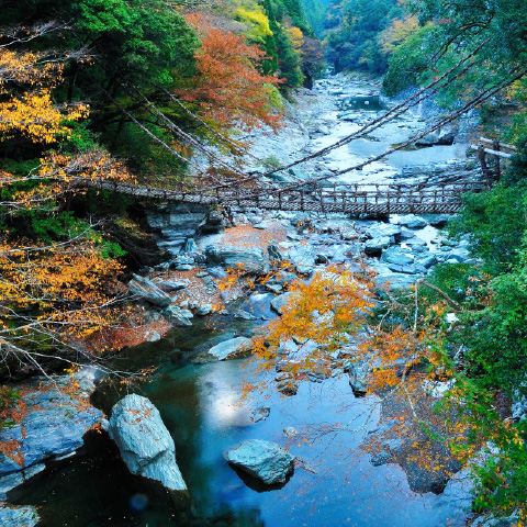「祖谷のかずら橋」の外観